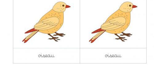 Mon petit oiseau a pris sa volée... 