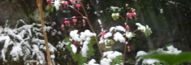 Dur été, dur hiver