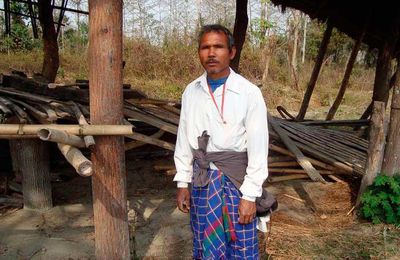 Les Indiens planteurs d'arbres : la forêt de Jadav Payeng sur un banc de sable...