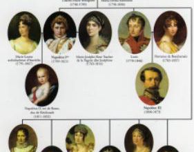GENEALOGE de BONAPARTE !