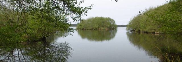Une balade au bord de "mon" Lac, le 22 avril (suite)...