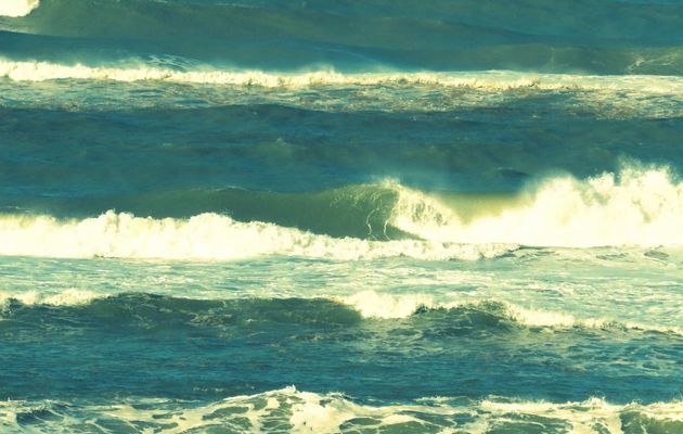 Vagues au Cap Ferret 33