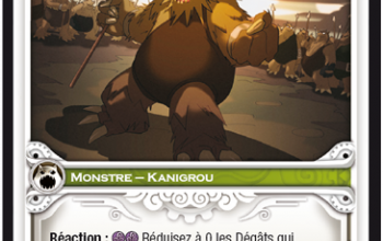 24ème carte