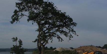 Les formes du travail 29 : Arbre à came