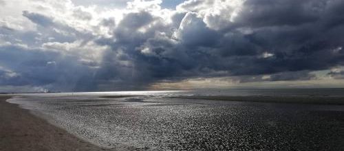 Pas de MN ce dimanche 20 février - Reprise mardi