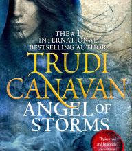 Free downloadable books for phones Angel of Storms