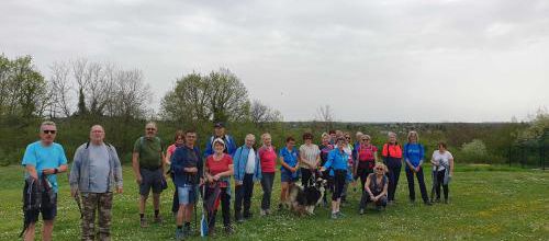 CR RANDO PARCOURS MN DU TRAIL DES ABEILLES 08/04/2024