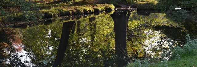 Reflets d'automne