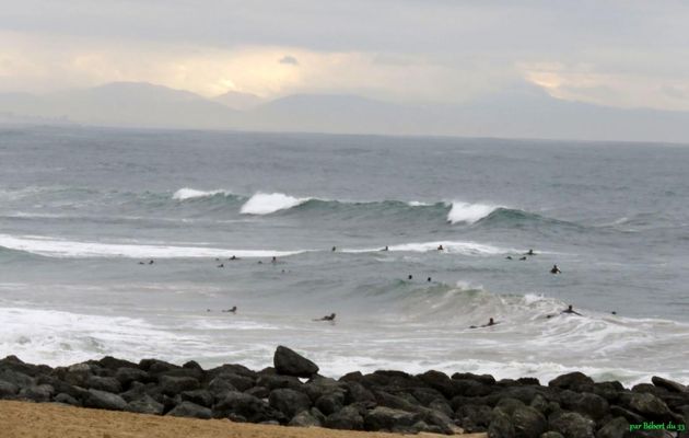 Surfeurs à Capbreton (40)
