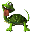 La tortue d'Hermann
