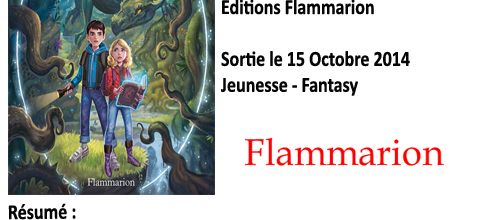 Malenfer Tome 1 : La forêt des ténèbres, Cassandra O'Donnell