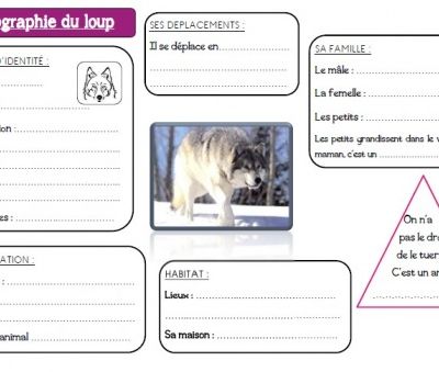 Le loup - texte documentaire, exercice et monographie