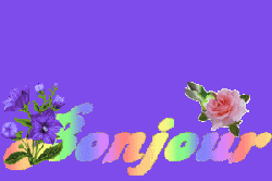 MONTAGE 13-24