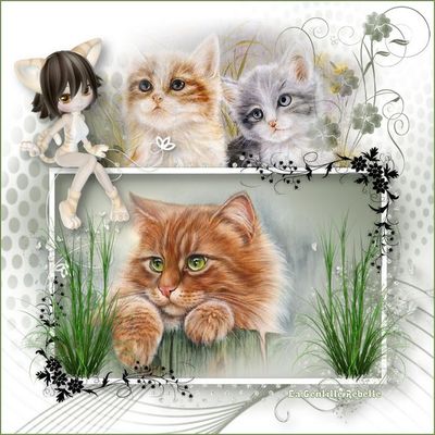 Tutoriel de Karin traduit par Animabelle "Cats"