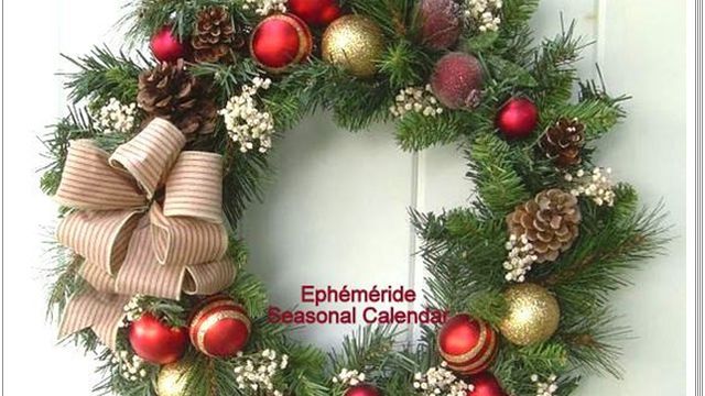 Les plantes symboles de Noel