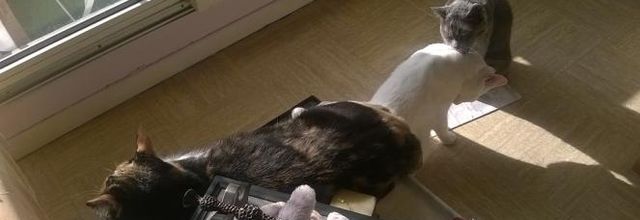 Dimanche -> Je prends soin de toi