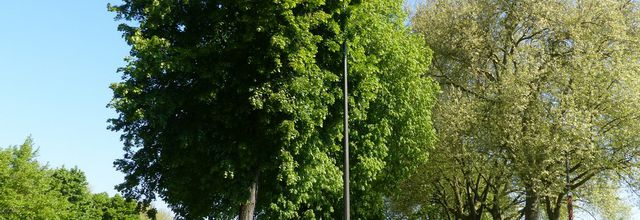 Vous m'accompagnez au Jardin des Plantes ? 