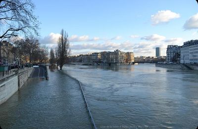 Crue de la Seine 2018 - Photos du 4 février 2018