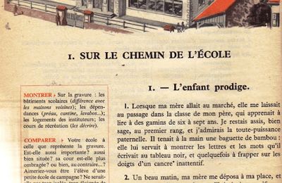 Dumas CM S1 Sur le chemin de l'école