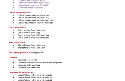 Détails Français CE1 (année scolaire : 2024/2025)