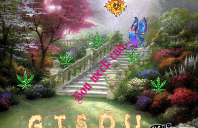 BON WEEK END