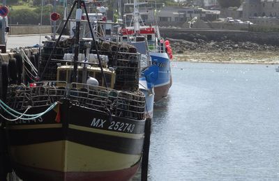 Chalutiers dans le port de Roscoff...