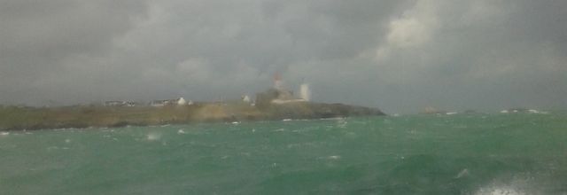 Sous le signe du roman