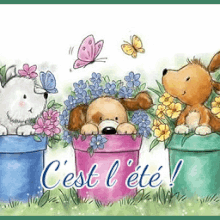 SAISON : été, gifanime, ete,blinkie, ete