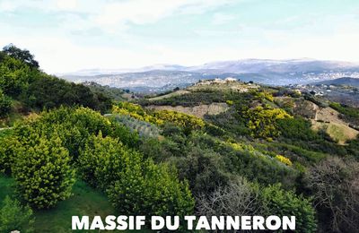 Massif du Tanneron