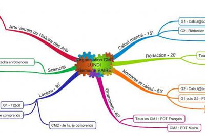 Double-niveau : comment s'organiser ?