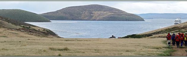La sortie se termine, nous quittons Coffin's Harbour pour revenir vers South Harbour et rejoindre le Lyrial - New Island - Falkland (Malouines, Malvinas) - Grande-Bretagne