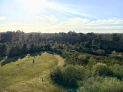 RANDO 12 / mercredi 29 novembre - PESSAC BOURGAILH PEUGUE