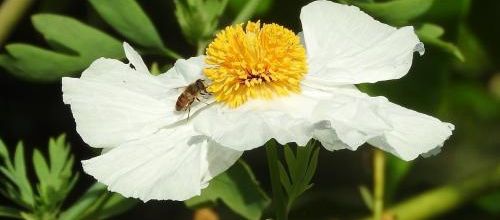 ... bon jeudi à tous.sent...