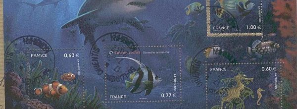 Carnet poissons 2012