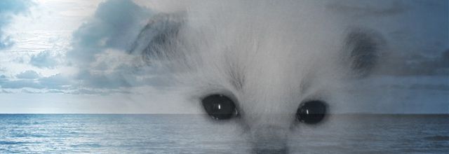 Un mirage