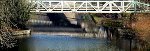 Metz / Indiana bébé dogue de Bordeaux...