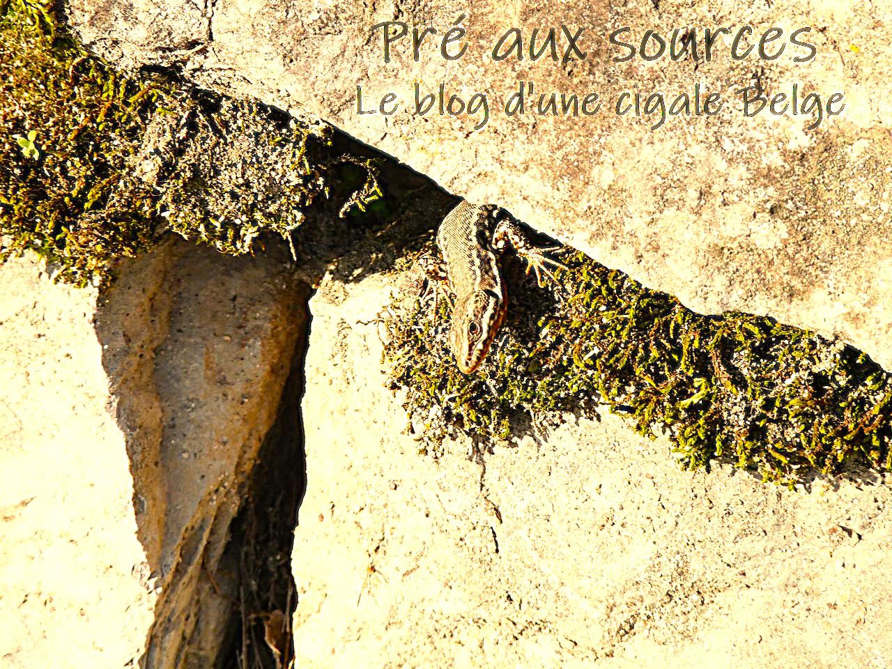 Header cover
