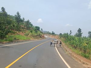 nouvelle route!
