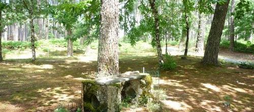 Paris - Roncevaux - Saugnac et Muret (28 km)