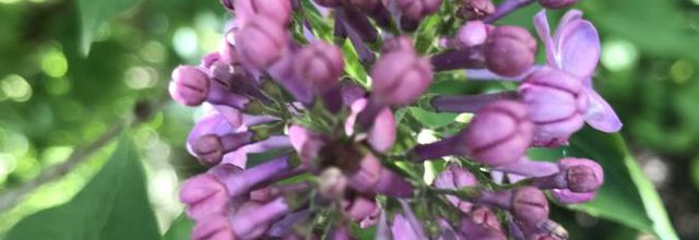 VACANCES DE PRINTEMPS - ZONE B