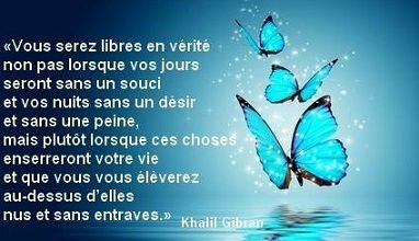 Vous êtes libres ... 