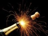 Bonne Année 2011 !