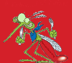 Zinzala, mosquito, moustique