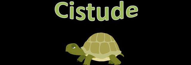 Cistude - Corse