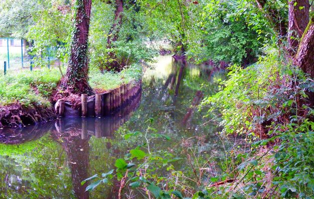 une photo de nature !