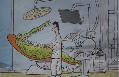 Le crocodile et le dentiste...