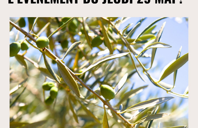 Exposition au Domaine de Solignac