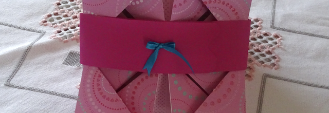 Cartes de voeux 2017 : la suite !