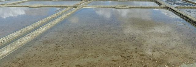 Guérande et ses marais salants