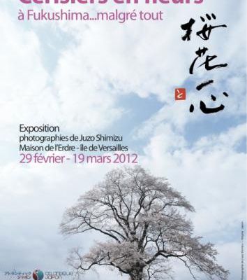 Les cerisiers sont en fleurs à Fukushima ... malgré tout. 